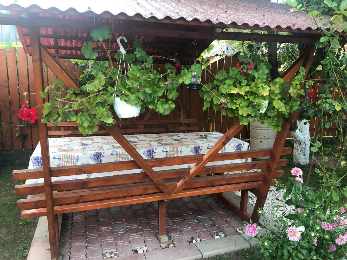 Hotel Casa Todea Cîmpeni Exterior foto